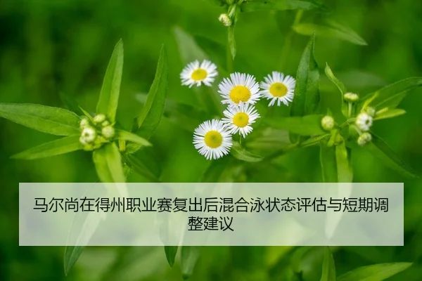 ma-er-shang-zai-de-zhou-zhi-ye-sai-fu-chu-hou-hun-he-yong-zhuang-tai-ping-gu-yu-duan-qi-tiao-zheng-jian-yi-2-753.jpg