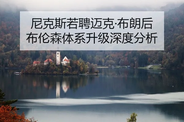 ni-ke-si-ruo-pin-mai-ke-bu-lang-hou-bu-lun-sen-ti-xi-sheng-ji-shen-du-fen-xi-2-915.jpg